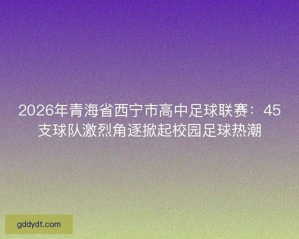 2026年青海省西宁市高中足球联赛：45支球队激烈角逐掀起校园足球热潮