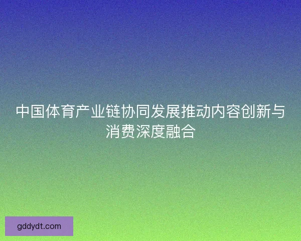 中国体育产业链协同发展推动内容创新与消费深度融合