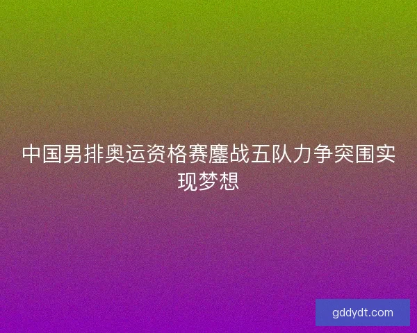 中国男排奥运资格赛鏖战五队力争突围实现梦想 中国男排奥运资格赛鏖战五队力争突围实现梦想